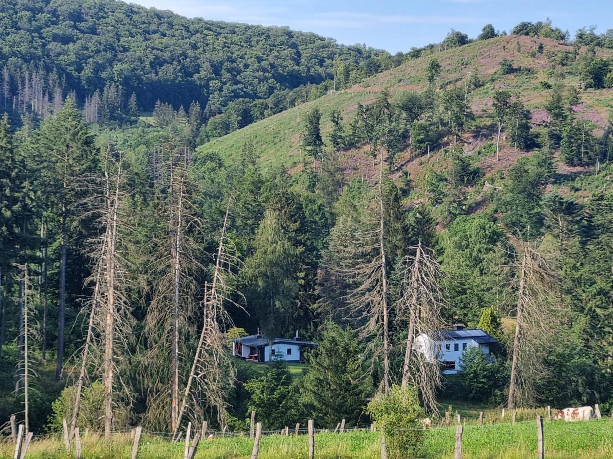 Explorer'S Lodge & Camping Helminghausen Екстер'єр фото